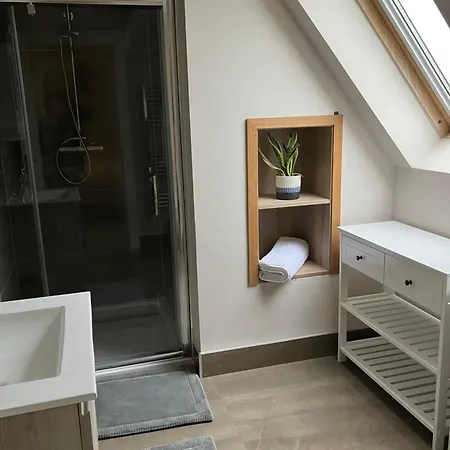 住宿加早餐酒店 Oakwood Belmont (Offaly)